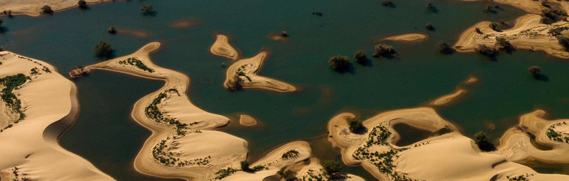 Desert and Water banner